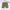 Ben Davis Streetwear Sportswear Short Pria tan photo 2