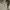 ZARA Streetwear Jeans Pria white photo 3