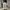 Vintage Indie Jeans Pria white photo 4