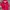 Levi's Goth Casual Bomber Jacket Pria Red