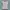Semantic Design Streetwear Avant Garde T-shirt Pria white photo 6