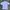 Adidas Y2K Sportswear Jersey Pria white photo 4