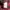 Polham Streetwear Avant Garde Hoody Pria red black photo 5