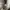 Uniqlo Streetwear Gorpcore Tracksuit Pria white gray photo 6