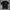 Casual T-shirt Pria Black