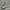 Visvim Casual Sneakers Pria cream photo 4