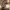 Phenomenon Avant Garde Bomber jacket Pria brown photo 6