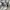 Oakley Y2K Polo shirt Pria silver gray blue photo 4