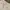 Nike Y2K Sportswear Short Pria cream photo 6