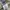 Eddie Bauer Biker Trench coat Pria multicolor photo 8