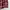 Eddie Bauer Biker Trench coat Pria multicolor photo 5