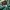 Alpha Industries Vintage Y2K Bomber jacket Pria green photo 5