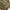 Sandro Paris Streetwear Grunge Hoody Pria brown photo 5