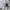 Ader Luxury Minimalist T-shirt Pria white photo 6