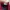 Puma Casual Sneakers Wanita burgundy red photo 3