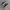 Nike Casual Sneakers Pria blue photo 2