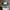 Salomon Gorpcore Hat Pria green photo 2
