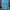 Dickies Luxury Hoody Pria Blue