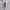 Sportswear Track jacket Pria white photo 4