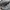 Salomon Streetwear Sportswear Sneakers Pria white gray photo 2