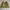 A.P.C. Streetwear Y2K Bomber Jacket Pria Brown