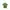 MLB Sportswear Casual T-shirt Wanita Green