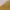 Carhartt Vintage Streetwear Pria yellow photo 5