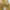 Carhartt Vintage Streetwear Pria yellow photo 4