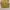 Carhartt Vintage Streetwear Pria Yellow