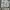 VANS Streetwear Skater Casual pants Pria gray photo 7