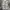 VANS Streetwear Skater Casual pants Pria gray photo 4