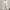 Beatrice Clothing Casual Wanita white photo 1