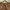 Casual Culotte Wanita brown photo 3