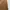 Casual Culotte Wanita brown photo 5