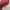 Casual Backpack Wanita red photo 5