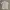 Hugo Boss Minimalist Polo shirt Pria white tan cream photo 1