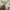 Hugo Boss Minimalist Polo shirt Pria white tan cream photo 7