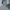 Nike Streetwear Hoody Pria gray photo 2