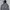 Timberland Sportswear Windbreaker Pria navy photo 2