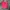 Mizuno Sportswear Short Pria pink photo 1