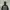 Vaude Gorpcore Sweatshirt Pria black photo 3