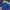 Custo Barcelona Sportswear Casual Jersey Pria Red Blue