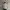 Under Armour Gorpcore Track Jacket Pria Silver