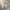Under Armour Gorpcore Track jacket Pria silver photo 4