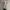 Under Armour Gorpcore Track jacket Pria silver photo 2