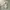 Under Armour Gorpcore Track jacket Pria silver photo 8