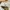 Converse Casual Sneakers Wanita white photo 3