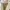 Converse Casual Sneakers Wanita white photo 5