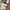 Converse Casual Sneakers Wanita white photo 1
