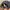 Champion Casual Hat Pria black photo 3